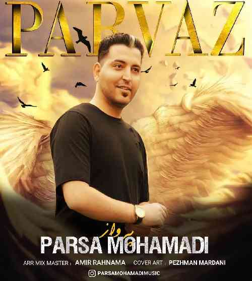 پارسا محمدی یه مشت قرص خاو دینو دنیامه